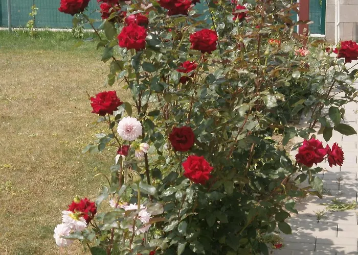 Garden Lednice